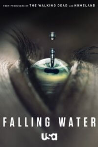 Falling Water Cover, Poster, Falling Water DVD