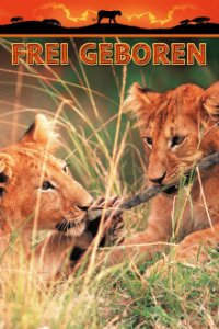 Frei geboren - Königin der Wildnis Cover, Poster, Frei geboren - Königin der Wildnis