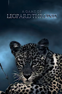 Game of Leopard Thrones - Die Königin der Leoparden, Cover, HD, Serien Stream, ganze Folge