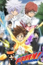 Cover Katekyo Hitman Reborn, Poster Katekyo Hitman Reborn