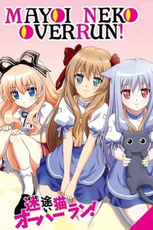 Mayoi Neko Overrun!, Cover, HD, Serien Stream, ganze Folge