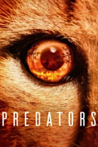 Cover Predators - Jäger in Gefahr, Predators - Jäger in Gefahr