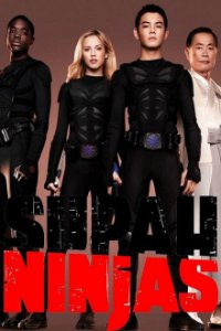 Cover Supah Ninjas, Poster