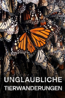 Unglaubliche Tierwanderungen, Cover, HD, Serien Stream, ganze Folge