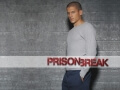 MScofield