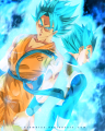 Profilbild Saiyajin_ali_04, Avatar