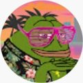 User Groyper, Profilbild