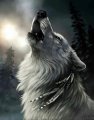 Barghest, Profilbild, Foto, Avatar